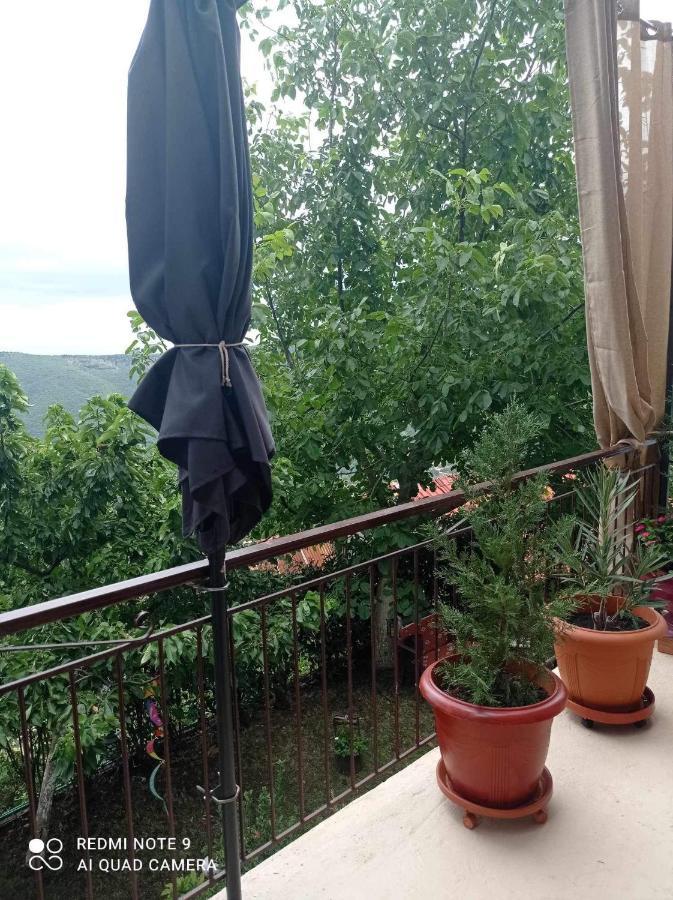 Άγρια Λούλουδα Κατοικία Αρμονία Timfristos Экстерьер фото