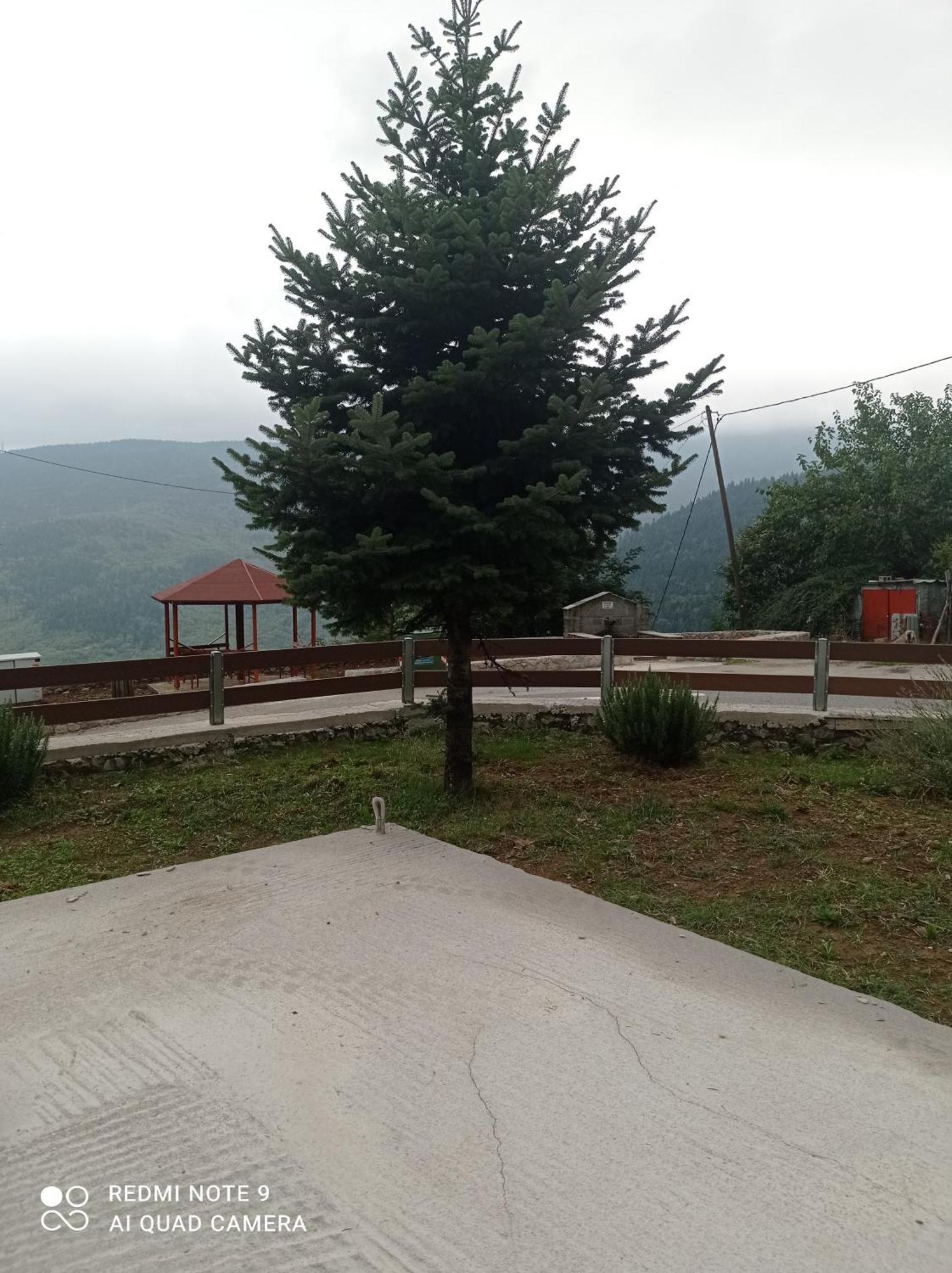 Άγρια Λούλουδα Κατοικία Αρμονία Timfristos Экстерьер фото